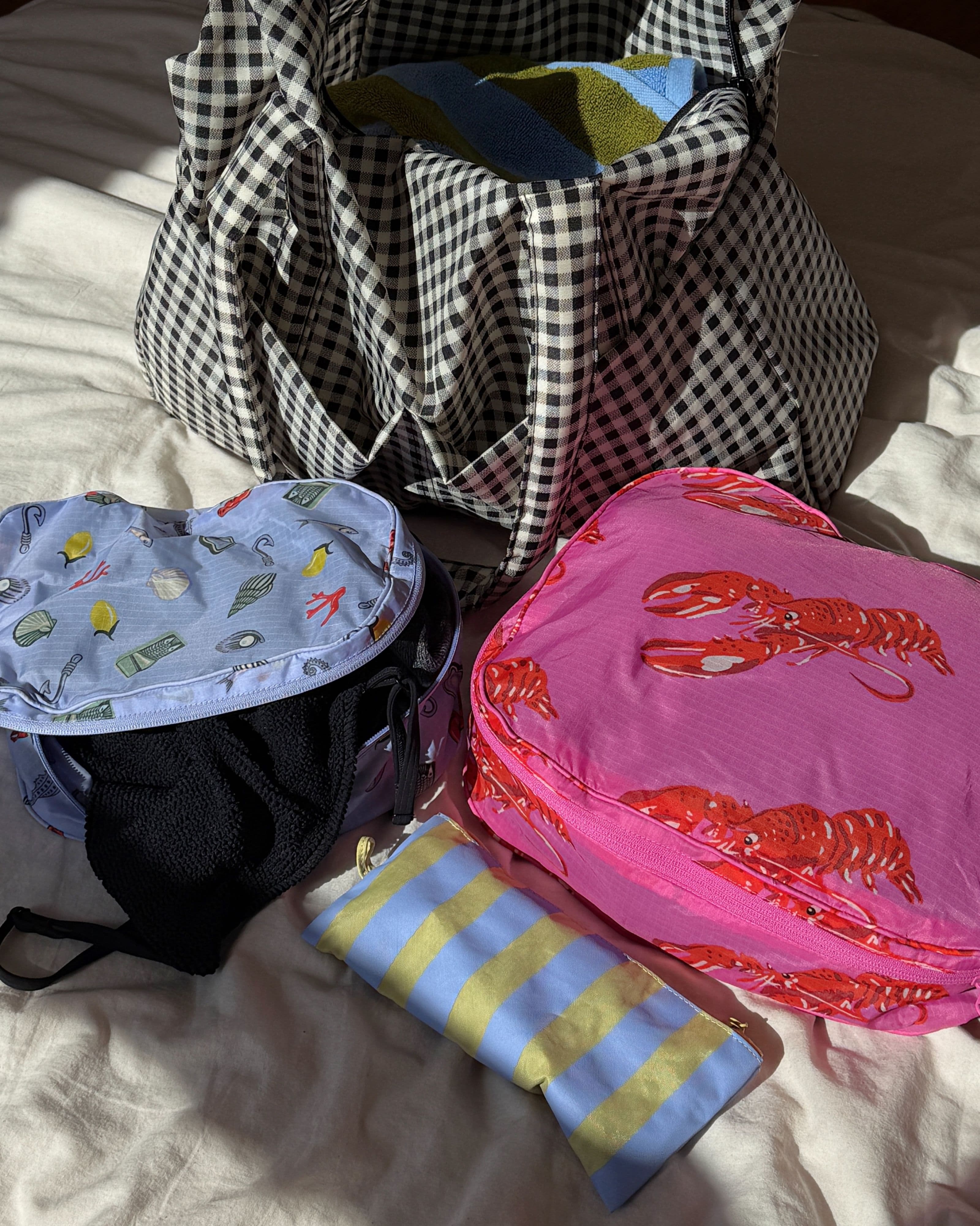 Packing Cube Set in Sea Creatures